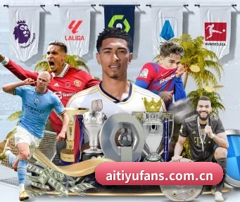 aitiyufans.com.cn APP