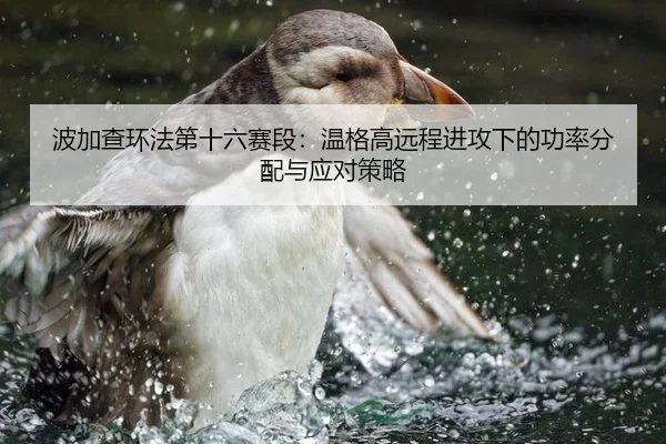 波加查环法第十六赛段：温格高远程进攻下的功率分配与应对策略
